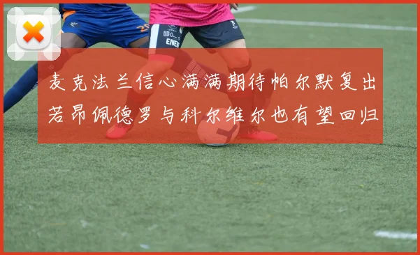 麦克法兰信心满满期待帕尔默复出若昂佩德罗与科尔维尔也有望回归